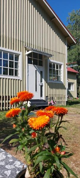 Good Life Homestay Ahmovaara